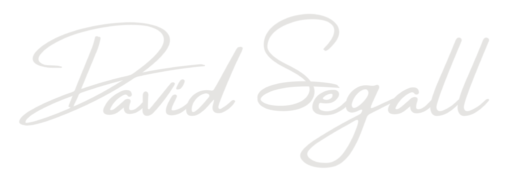 Signature Logo Silver